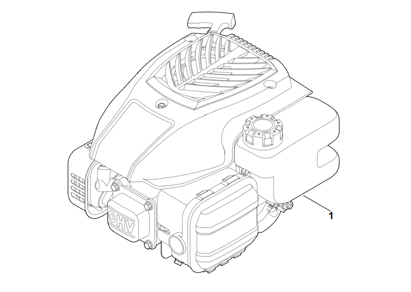  A - Двигатель в сборе RM 248.0 | EVC 200.1 (EVC200-0002) | Двигатель бензиновый