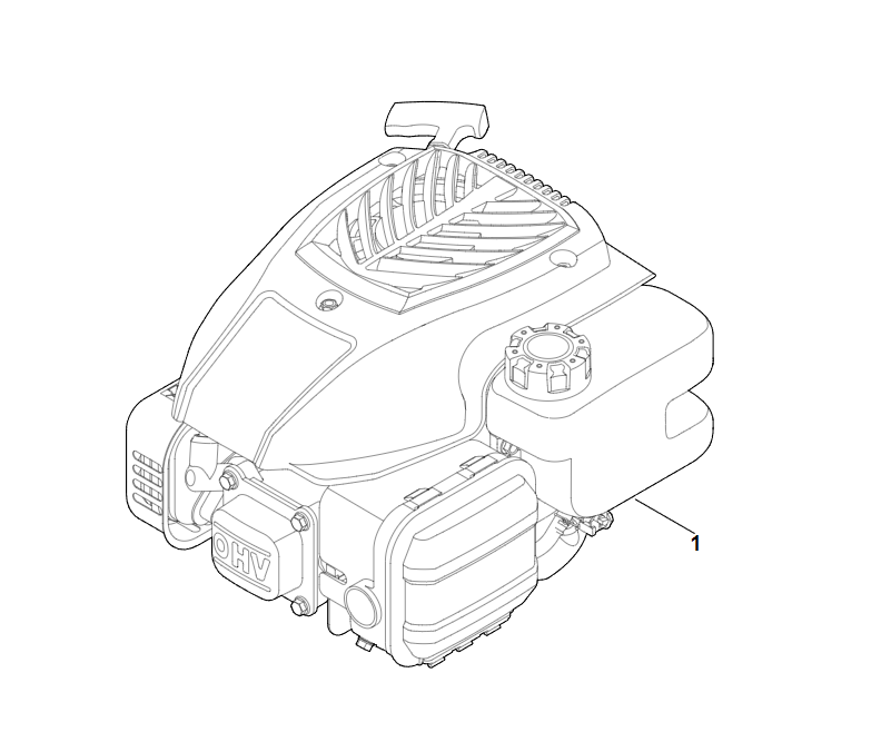 1 | A - Двигатель в сборе  RM 248.1 T | EVC 200.2 (EVC200-0003)| Двигатель бензиновый