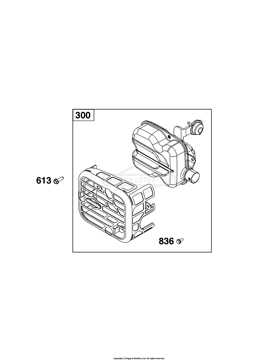 9 |  093J02-0079-H5 | Двигатель  I - ГРУППА СИСТЕМЫ ОГ | RM 253.0 | STIHL | Бриггс Страттон