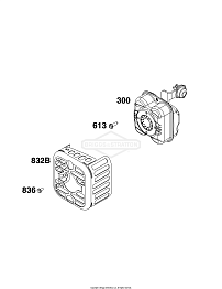 9 | 09P702-0238-H5 | Двигатель | RM 443.0 | I - ГРУППА СИСТЕМЫ ОГ  | STIHL | Бриггс Страттон