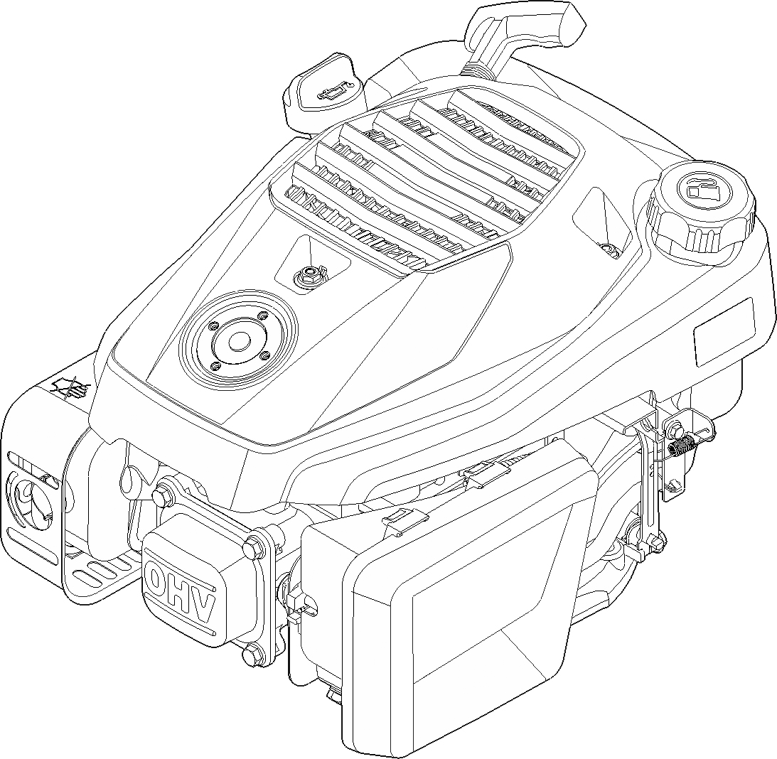 RM 545.1 T | EVC 300.0 (EVC300-0001)| Двигатель бензиновый