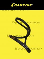 Ремень привода 10x711Li (L-763мм, b-10мм), CHAMPION(IGP) 60320060000