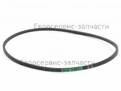 Ремень заднего хода М37 (L-925мм, b-10мм), CHAMPION(IGP) 807015