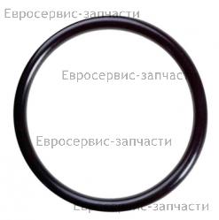 Кольцо уплотнительное крышки бака химикатов PS 226, PS 242, CHAMPION(IGP) 02070020041