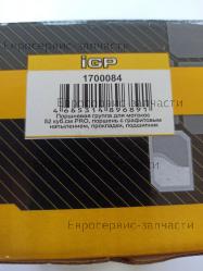 Поршневая группа AG252, T516, CHAMPION(IGP) 1700084